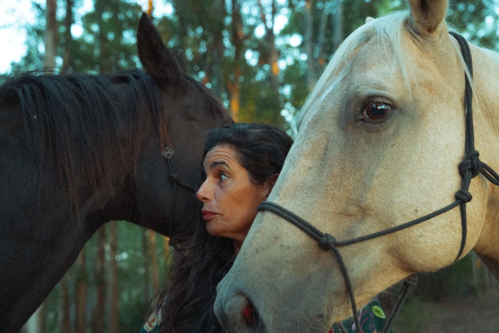 Mulher encostada em dois cavalos